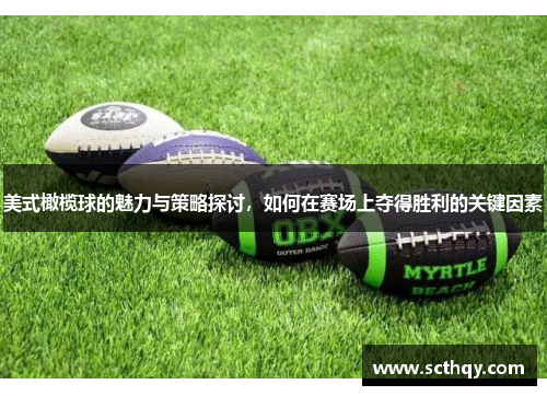 美式橄榄球的魅力与策略探讨，如何在赛场上夺得胜利的关键因素